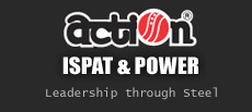 ACTION ISPAT & POWER LTD